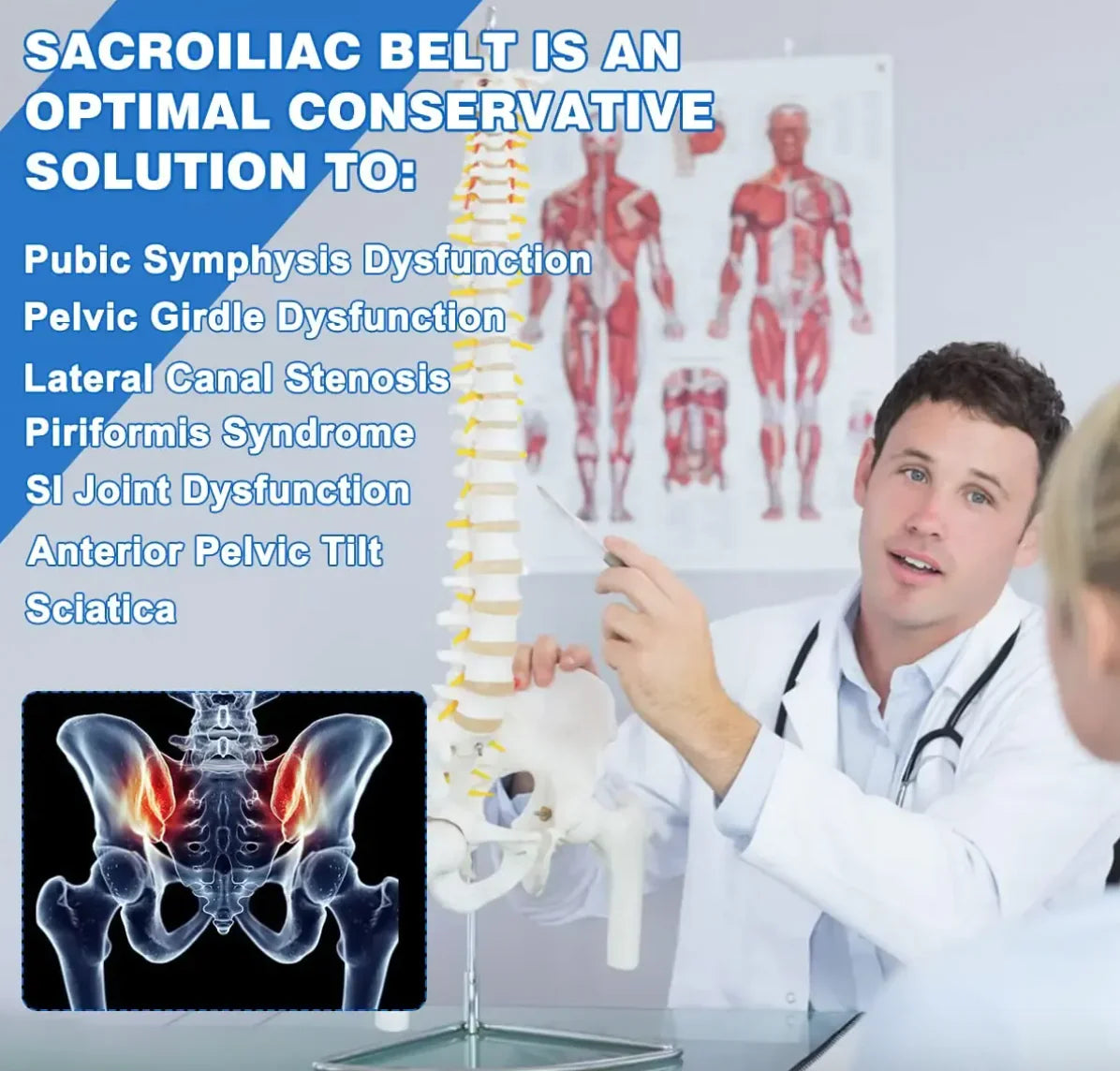 Pelvic Floor Recovery Belt | Posture Support | ActiveSupport UK